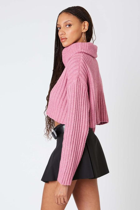Cropped Turtle Neck Ribbed Sweater